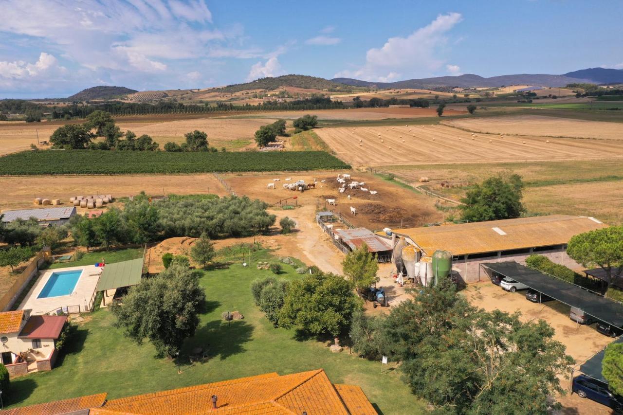 Agriturismo Al Girasole Сан Донато Екстериор снимка